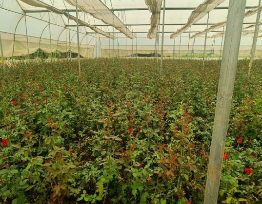 012139c5-f083-4247-a00b-e141c2cb3f8e