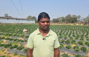 उद्यानिकी खेती से बदली किसान की आर्थिक तस्वीर
