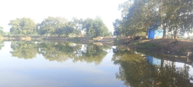 29a77a99-731f-45a9-9b59-2fcfee476762