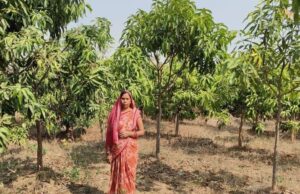 पर्यावरण संरक्षण के साथ आत्मनिर्भरता की ओर कदम, कस्तूरी बनी प्रेरणा