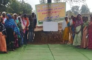 50 वर्षों बाद धमतरी के आदिवासी अंचल में रबी खेती की वापसी