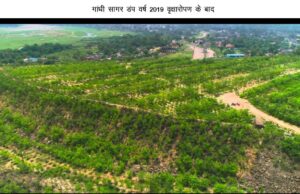 माइनिंग डंप में हरित क्रांति- कोरबा गांधीसागर डंप क्षेत्र में सफल वृक्षारोपण : एसईसीएल और वन विकास निगम की संयुक्त पर्यावरणीय पहल
