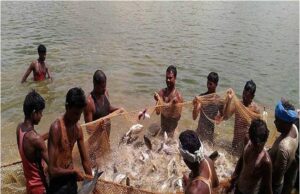 प्रधानमंत्री मत्स्य सम्पदा योजना से जिले में आई मत्स्य क्रांति
