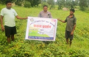 आत्मा योजना: उड़द खेती में बढ़ी पैदावार, किसान की आय में हुआ इजाफा