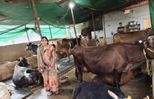 सामान्य गृहणी से सफल डेयरी उद्यमी बनी ज्योत्सना पटेल