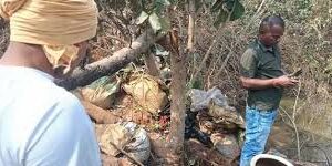 “ऑपरेशन आघात” के तहत जंगल में पुलिस की छापेमारी, जंगल में बनाई जा रही अवैध महुआ शराब की भट्ठी नष्ट