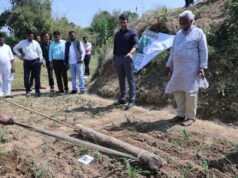 सलखिया में 50 किसान जैविक तरीके से कर रहे रागी की खेती, ग्रीष्मकालीन धान के स्थान पर रागी पर फोकस