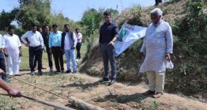 सलखिया में 50 किसान जैविक तरीके से कर रहे रागी की खेती, ग्रीष्मकालीन धान के स्थान पर रागी पर फोकस