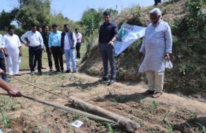 सलखिया में 50 किसान जैविक तरीके से कर रहे रागी की खेती, ग्रीष्मकालीन धान के स्थान पर रागी पर फोकस