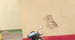 ऑपरेशन आघात” के तहत लैलूंगा पुलिस की बड़ी कार्रवाई, गांजा रेड में 5 किलो से अधिक गांजा जब्त*