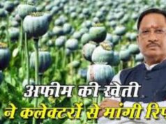 अफीम की अवैध खेती पर मुख्यमंत्री विष्णु देव साय का कड़ा रुख,सभी कलेक्टरों को सर्वे कर 15 दिवस में प्रमाण पत्र सहित रिपोर्ट देने के निर्देश