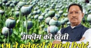 अफीम की अवैध खेती पर मुख्यमंत्री विष्णु देव साय का कड़ा रुख,सभी कलेक्टरों को सर्वे कर 15 दिवस में प्रमाण पत्र सहित रिपोर्ट देने के निर्देश