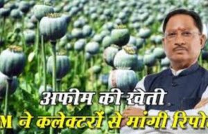 अफीम की अवैध खेती पर मुख्यमंत्री विष्णु देव साय का कड़ा रुख,सभी कलेक्टरों को सर्वे कर 15 दिवस में प्रमाण पत्र सहित रिपोर्ट देने के निर्देश