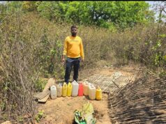 आबकारी विभाग की कार्रवाई: 377 लीटर महुआ शराब एवं 1705 किलो महुआ लाहन जप्त