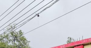डुप्लीकेट चाबी बनाकर चोरी करने वाला कार मैकेनिक गिरफ्तार,नंबर प्लेट बदलकर दिल्ली में चला रहा था चोरी की कार, डेंट-पेंट कर बेचने की थी तैयारी