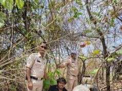 नशे के कारोबारी पर पुलिस का सख्त एक्शन,पुलिस ने रेड कार्रवाई कर 50 लीटर महुआ शराब के साथ आरोपी किया गिरफ्तार
