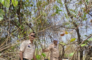 नशे के कारोबारी पर पुलिस का सख्त एक्शन,पुलिस ने रेड कार्रवाई कर 50 लीटर महुआ शराब के साथ आरोपी किया गिरफ्तार