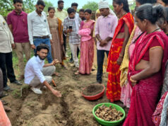 छत्तीसगढ़ के वनांचल में ‘पीली क्रांति’ से बदलेगी ग्रामीण अर्थव्यवस्था की सूरत