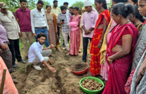 छत्तीसगढ़ के वनांचल में ‘पीली क्रांति’ से बदलेगी ग्रामीण अर्थव्यवस्था की सूरत