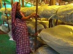 मजदूरी से स्वरोजगार तक का प्रेरक सफर, मशरूम उत्पादन से सालाना डेढ़ लाख रुपये की आय