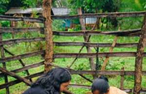 आंगनबाड़ी केंद्रों में पोषण शिक्षा को नई दिशा, स्थानीय खाद्य संसाधनों और मिलेट्स को मिलेगा बढ़ावा