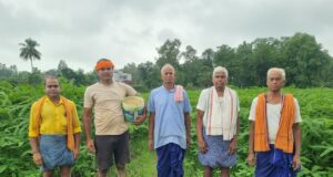 कम लागत, बेहतर गुणवत्ता और बढ़ती मांग से किसानों का बढ़ा भरोसा