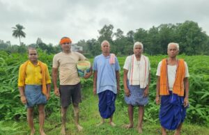 कम लागत, बेहतर गुणवत्ता और बढ़ती मांग से किसानों का बढ़ा भरोसा