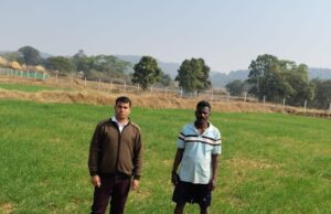 कम लागत, दोगुना फायदा : जशपुर के किसान ने गेहूं की खेती से बढ़ाई आमदनी