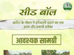 सीड बॉल अभियान- हरियाली बढ़ाने का सरल और प्रभावी माध्यम