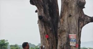 सड़क सुरक्षा के लिए रायगढ़ ट्रैफिक पुलिस का अभिनव अभियान
