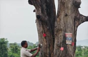 सड़क सुरक्षा के लिए रायगढ़ ट्रैफिक पुलिस का अभिनव अभियान