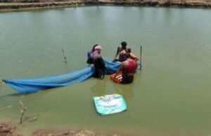 तालाब बना आत्मनिर्भरता का आधार, वैज्ञानिक मत्स्य पालन से कामिनी की आय में हुआ इजाफा