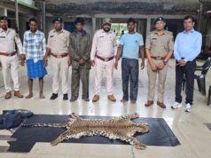 धौड़ाई में वन विभाग की बड़ी कार्रवाई : 3 आरोपियों के कब्जे से तेंदुए की खाल जब्त