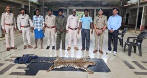 धौड़ाई में वन विभाग की बड़ी कार्रवाई : 3 आरोपियों के कब्जे से तेंदुए की खाल जब्त
