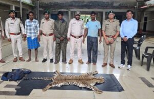 धौड़ाई में वन विभाग की बड़ी कार्रवाई : 3 आरोपियों के कब्जे से तेंदुए की खाल जब्त