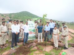 पथरीली पहाड़ियों को हराभरा बनाने की अनोखी पहल