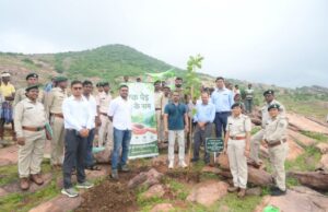 पथरीली पहाड़ियों को हराभरा बनाने की अनोखी पहल