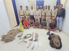 वन मंत्री श्री केदार कश्यप के निर्देश पर इन्द्रावती टाइगर रिजर्व में वन्यजीव शिकार पर बड़ी कार्रवाई, 6 आरोपी गिरफ्तार