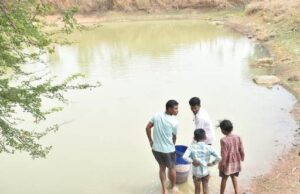 जल संरक्षण से बदला जीवन: धमतरी के भोथापारा में आजीविका डबरी बनी आर्थिक स्वावलंबन का नया आधार
