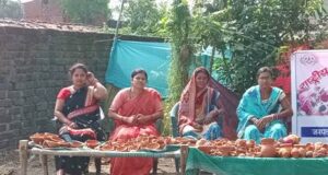 मुख्यमंत्री विष्णुदेव साय के नेतृत्व में आत्मनिर्भर बन रहीं बिहान की महिलाएं, गृहणी से लखपति दीदी बनने तक सावित्री का सफर