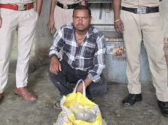 धनागर और बिछीनारा में आबकारी विभाग की कार्रवाई, 23.5 लीटर अवैध महुआ शराब जप्त