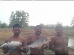 तालाब में पाली मछलियां, मुनाफे से संवारी जिंदगीकृशंकर कुडि़यम बने आत्मनिर्भरता की मिसाल