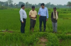 डिजिटल क्रांति की ओर नारायणपुर का कृषि क्षेत्र