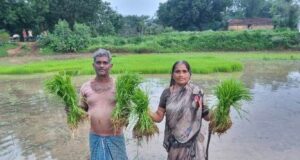 1200 किसानों को ढैंचा बीज सहित विभिन्न कृषि आदानों पर अनुदान सहायता