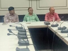 व्याकरण ही नहीं, सत्यता और संतुलन ही भाषा की वास्तविक शुचिता