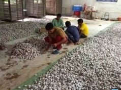 वनांचल में रेशम की चमक