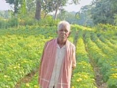 धान से गेंदा की खेती की ओर बढ़े आनंद राम, 0.400 हेक्टेयर में कमाया 3.96 लाख रुपए