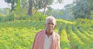 धान से गेंदा की खेती की ओर बढ़े आनंद राम, 0.400 हेक्टेयर में कमाया 3.96 लाख रुपए
