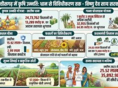 आधुनिक और नगदी फसलों की खेती ने बदली छत्तीसगढ़ के किसानों की तकदीर