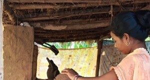 गणपति बप्पा की मिट्टी की प्रतिमा बनाकर बस्तर की महिलाओं ने हुनर से कमाए 1.80 लाख रुपए